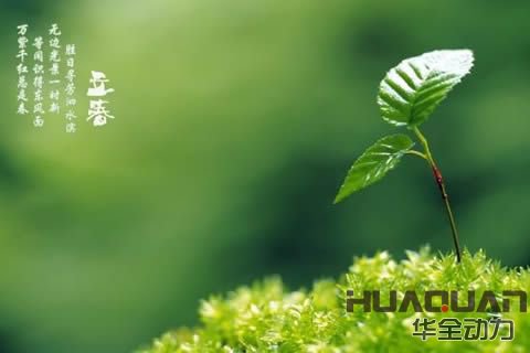 昨夜伴春回！華全發(fā)電機組2月4日盛裝營業(yè)